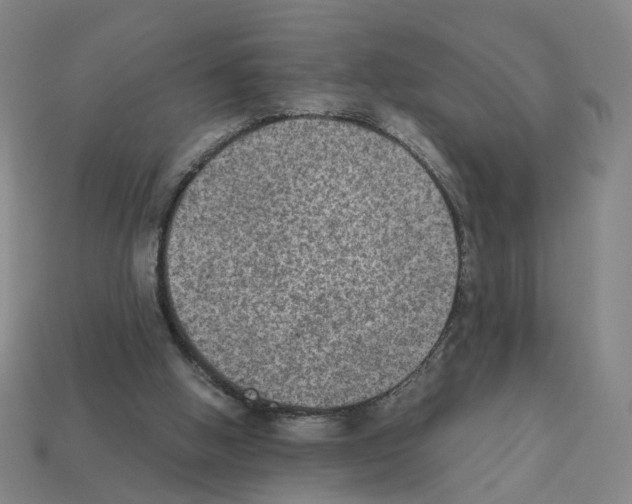 X0000111900058200909071144