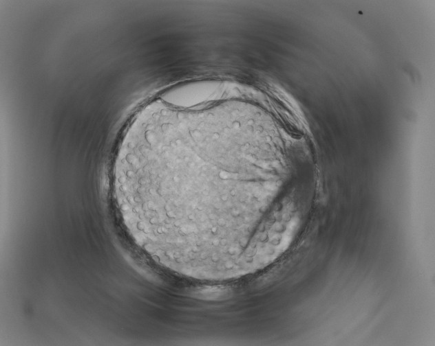 X0000111900059200909071145