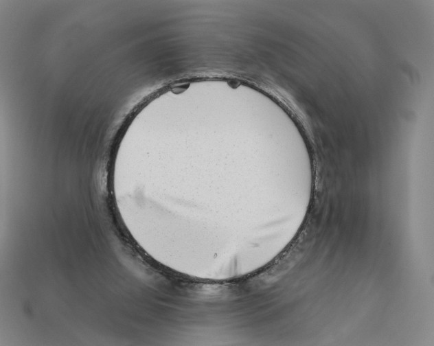 X0000111900060200909071145