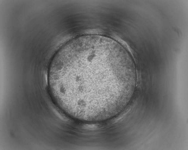 X0000111900061200909071145