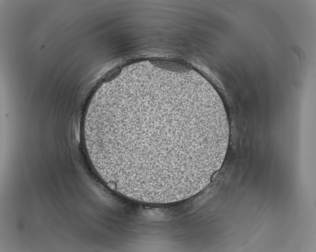 X0000111900062200909071145