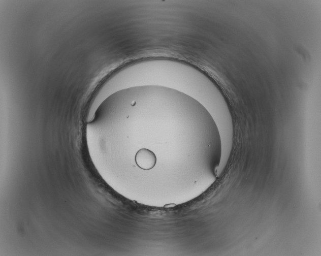 X0000111900064200909071145