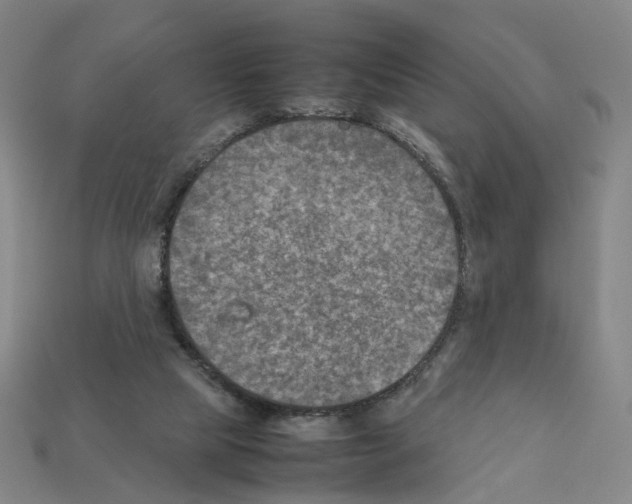 X0000111900065200909071145