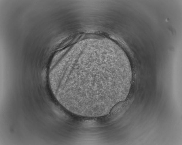 X0000111900066200909071145