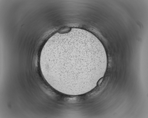 X0000111900068200909071145