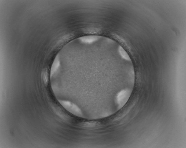 X0000111900069200909071145