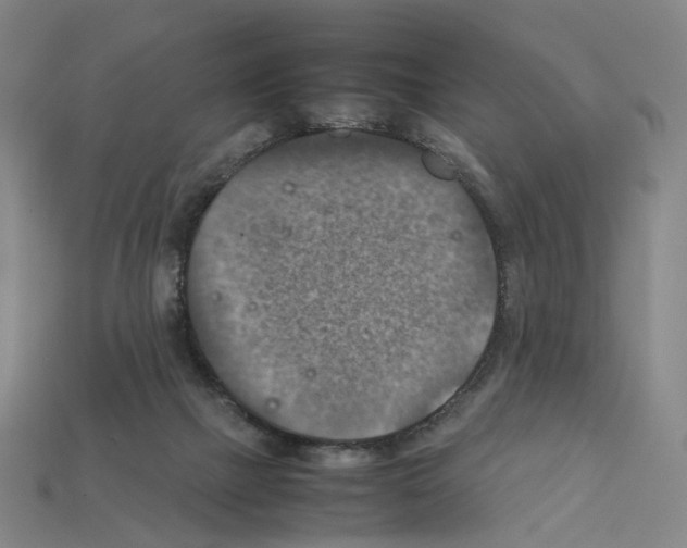 X0000111900073200909071145