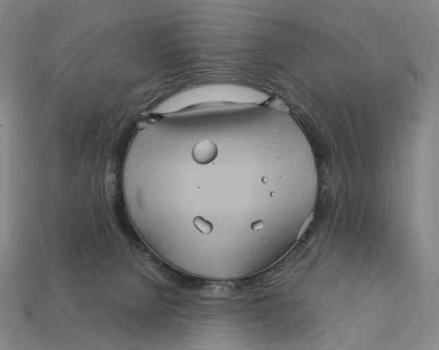 X0000111900080200909071145