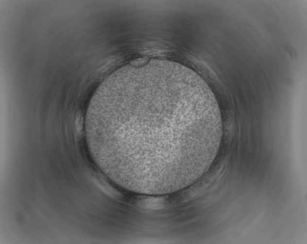 X0000111900081200909071145