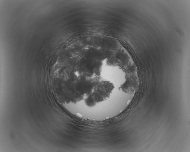 X0000111900083200909071145