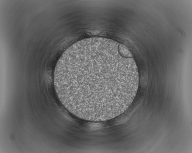 X0000111900085200909071145