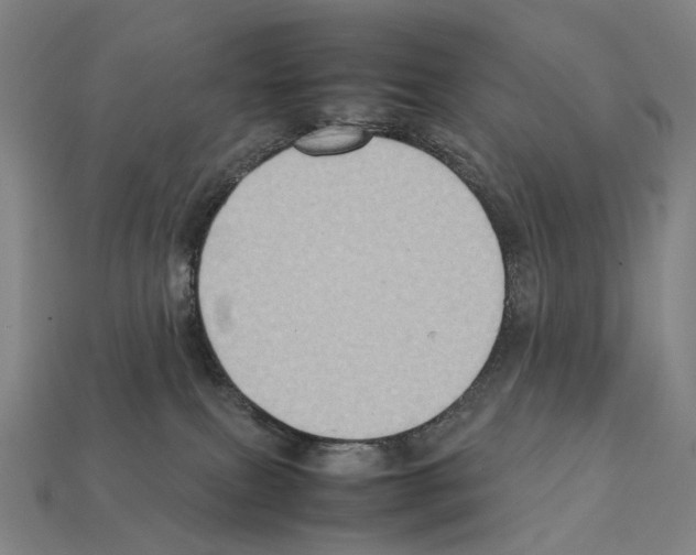 X0000111900087200909071145