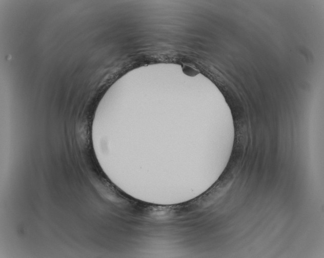 X0000111900088200909071145