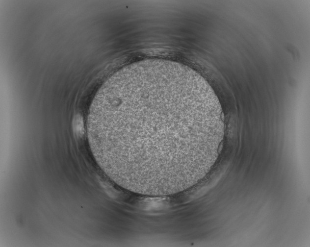 X0000111900089200909071145