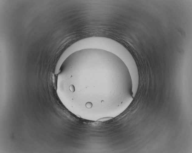 X0000111900092200909071145