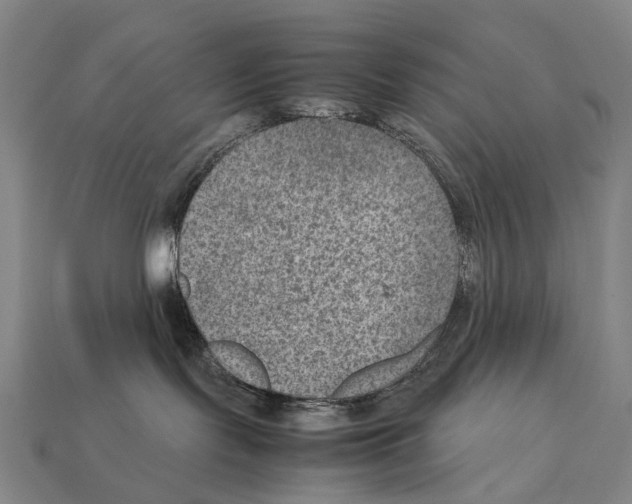 X0000111900095200909071145