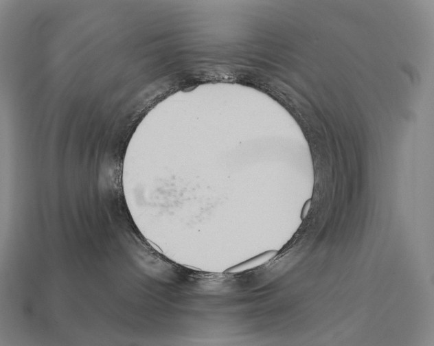 X0000111900096200909071145