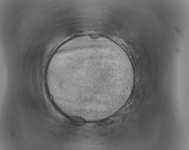 X0000111900097200909071144