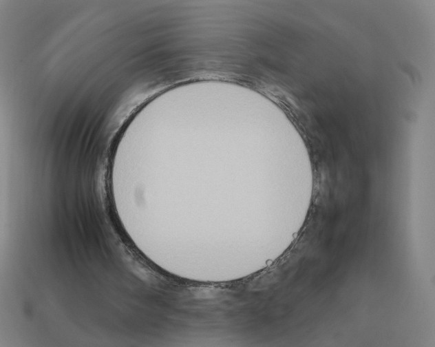 X0000111900098200909071144