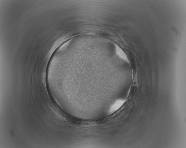 X0000111900099200909071144