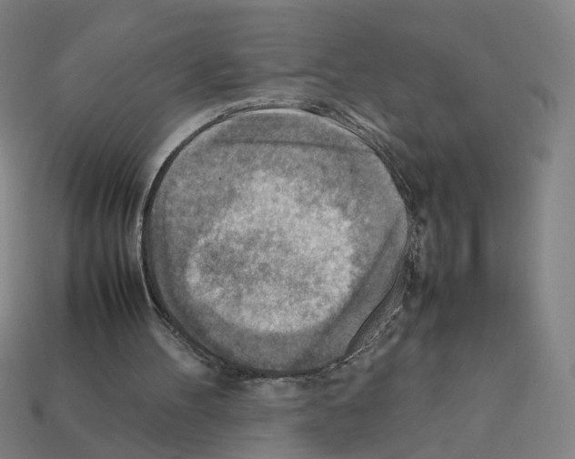 X0000111900100200909071144