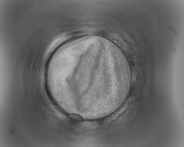 X0000111900101200909071144