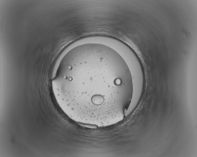 X0000111900105200909071144