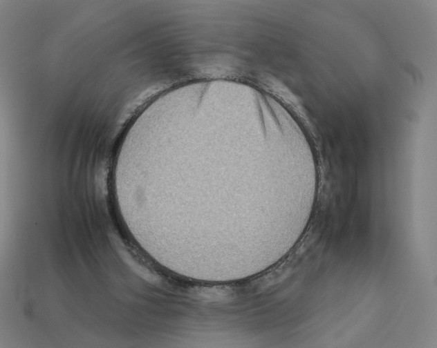 X0000111900106200909071144