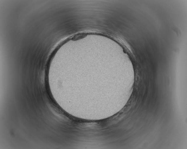 X0000111900108200909071144