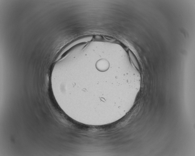 X0000111900109200909071144