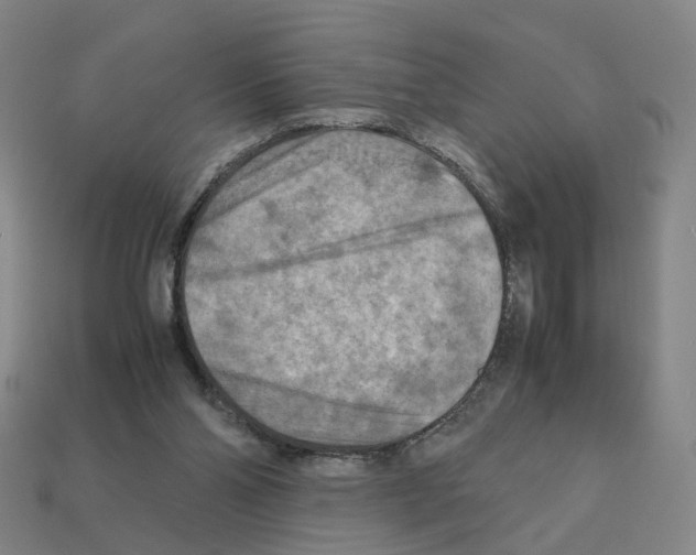 X0000111900110200909071144