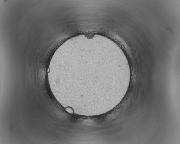 X0000111900113200909071144