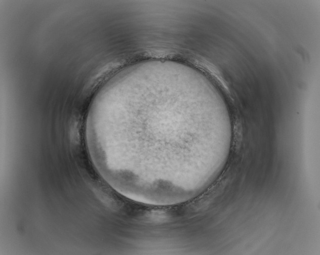 X0000111900114200909071144