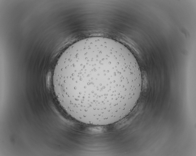 X0000111900118200909071144