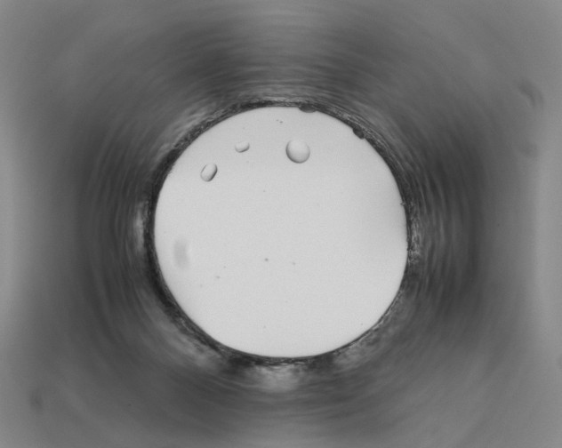 X0000111900120200909071144