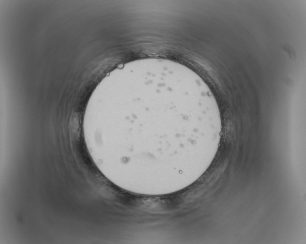 X0000111900121200909071144