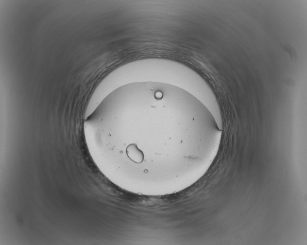 X0000111900125200909071144