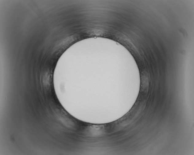 X0000111900126200909071144