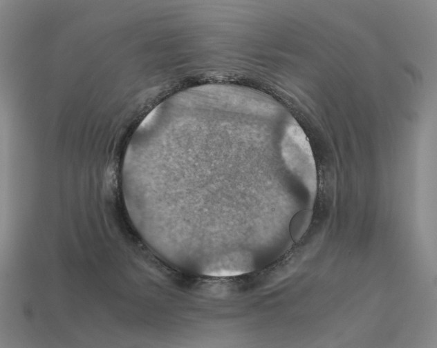 X0000111900127200909071144