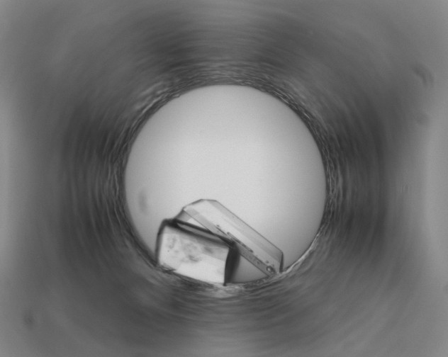 X0000111900128200909071144