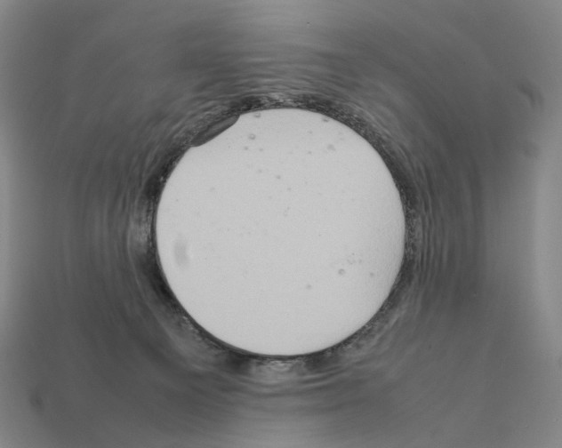 X0000111900129200909071144