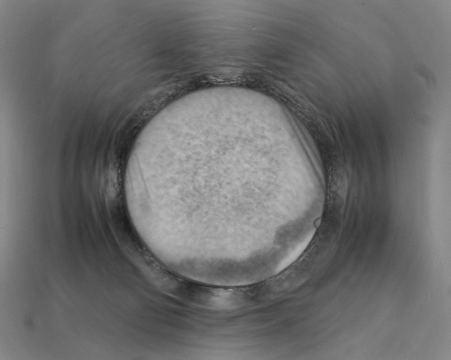 X0000111900130200909071144