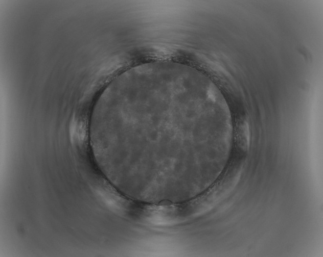 X0000111900131200909071144