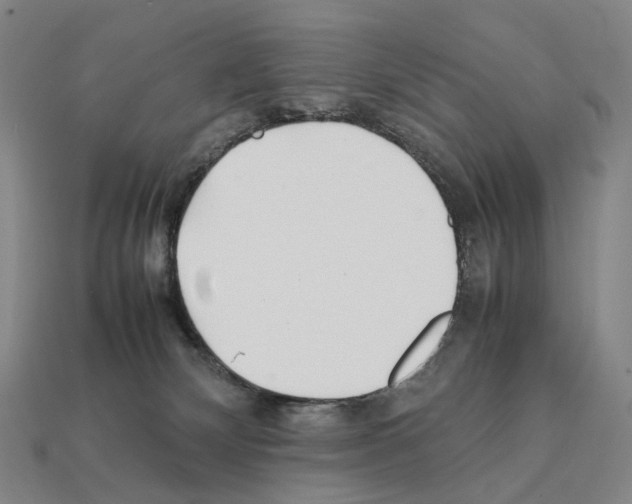 X0000111900132200909071144