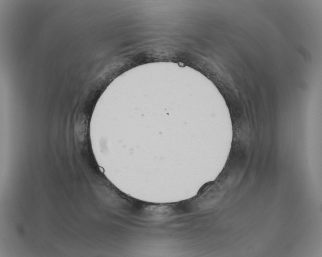 X0000111900133200909071144