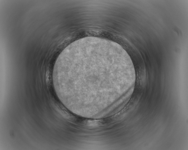 X0000111900134200909071144