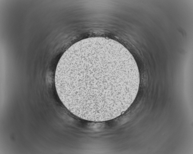 X0000111900135200909071144