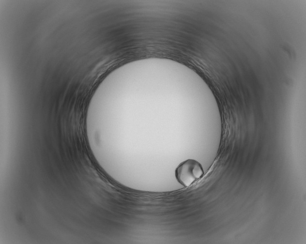 X0000111900140200909071144