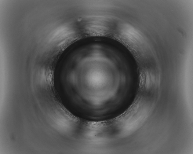 X0000111900141200909071144