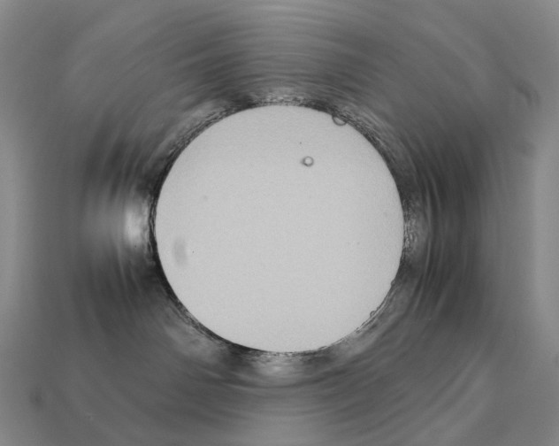 X0000111900142200909071144